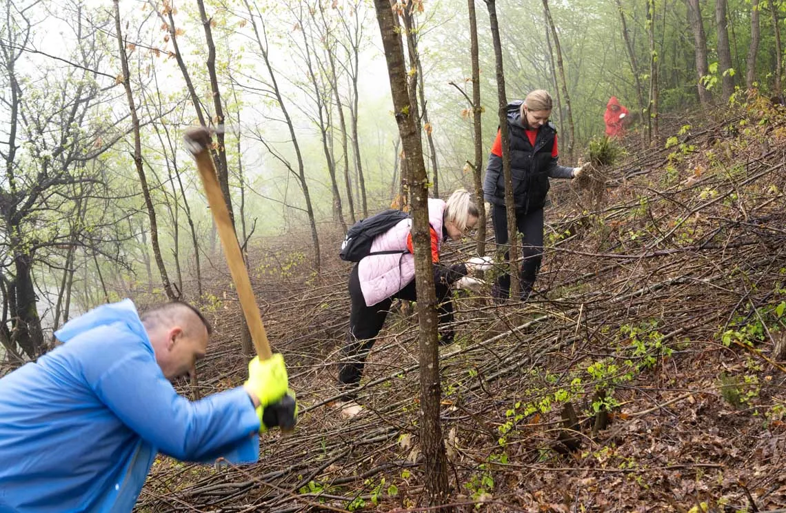 FIS proveo akciju pošumljavanja  „Zeleno srce Ambyente“