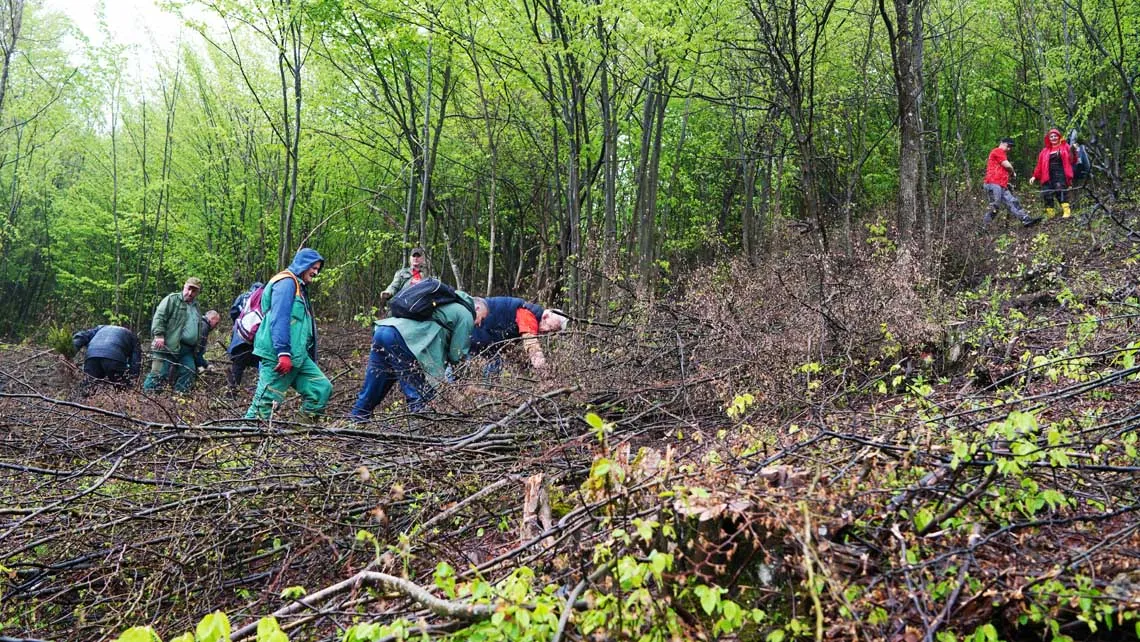 FIS proveo akciju pošumljavanja  „Zeleno srce Ambyente“
